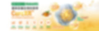 260223_CurcXR_banner_改(1910 x 600) (1).jpg