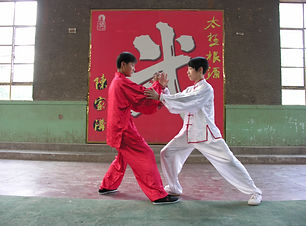 Taiji Tuishou in China _ Mirko Lorenz TaiChi.jpeg