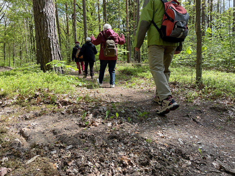 Keep Moving _ Mirko Lorenz _ Waldbaden Shinrin Yoku.jpg