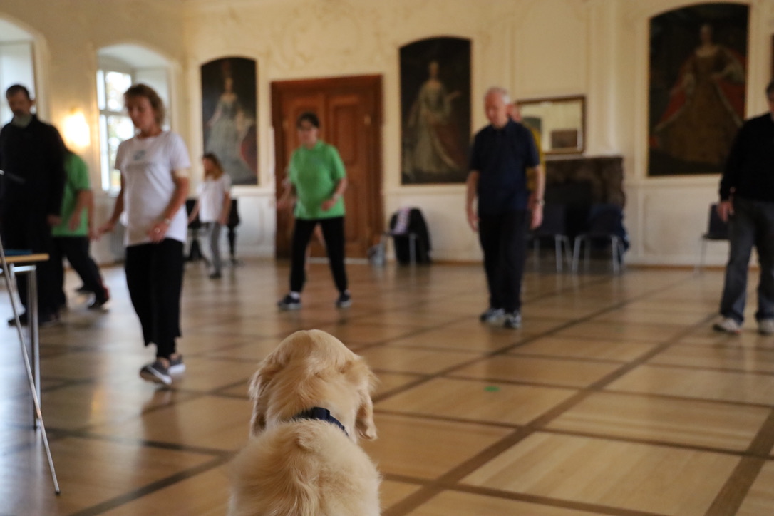 Keep Moving | Taiji-Therapie | Kloster Huysburg 2020
