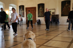 Keep Moving | Taiji-Therapie | Kloster Huysburg 2020