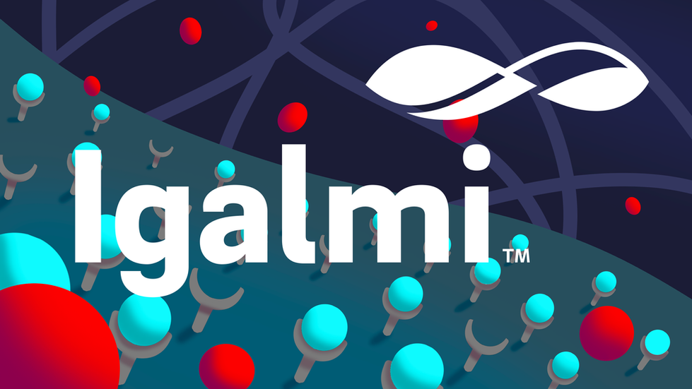 Igalmi Style Frames