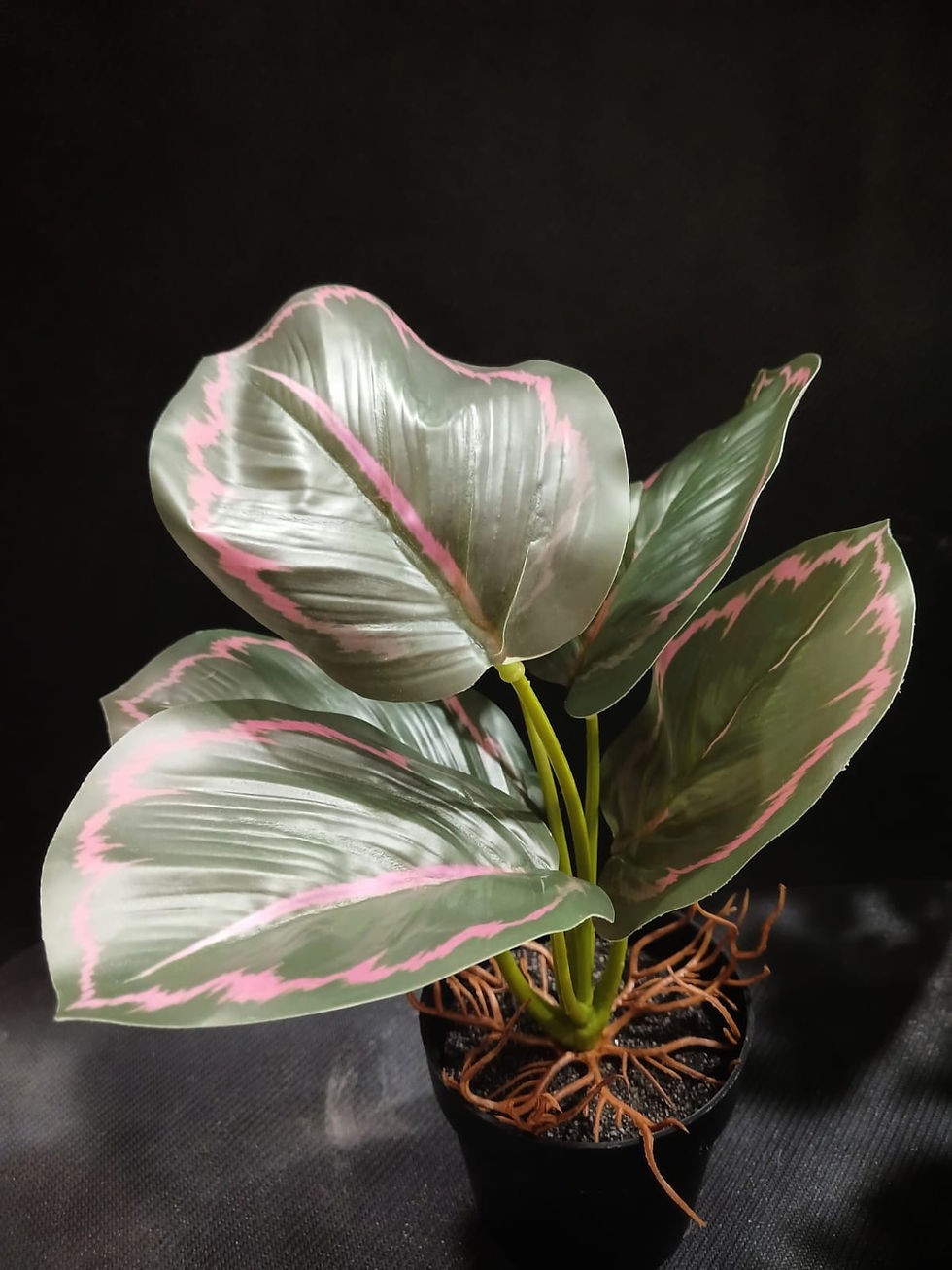 Miniatura: MACETA PLANTA