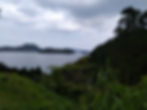 IMG_20200415_143225