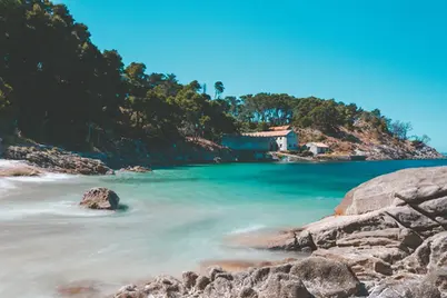 Las mejores playas caninas de las Rías Baixas y hoteles pet-friendly en Pontevedra.