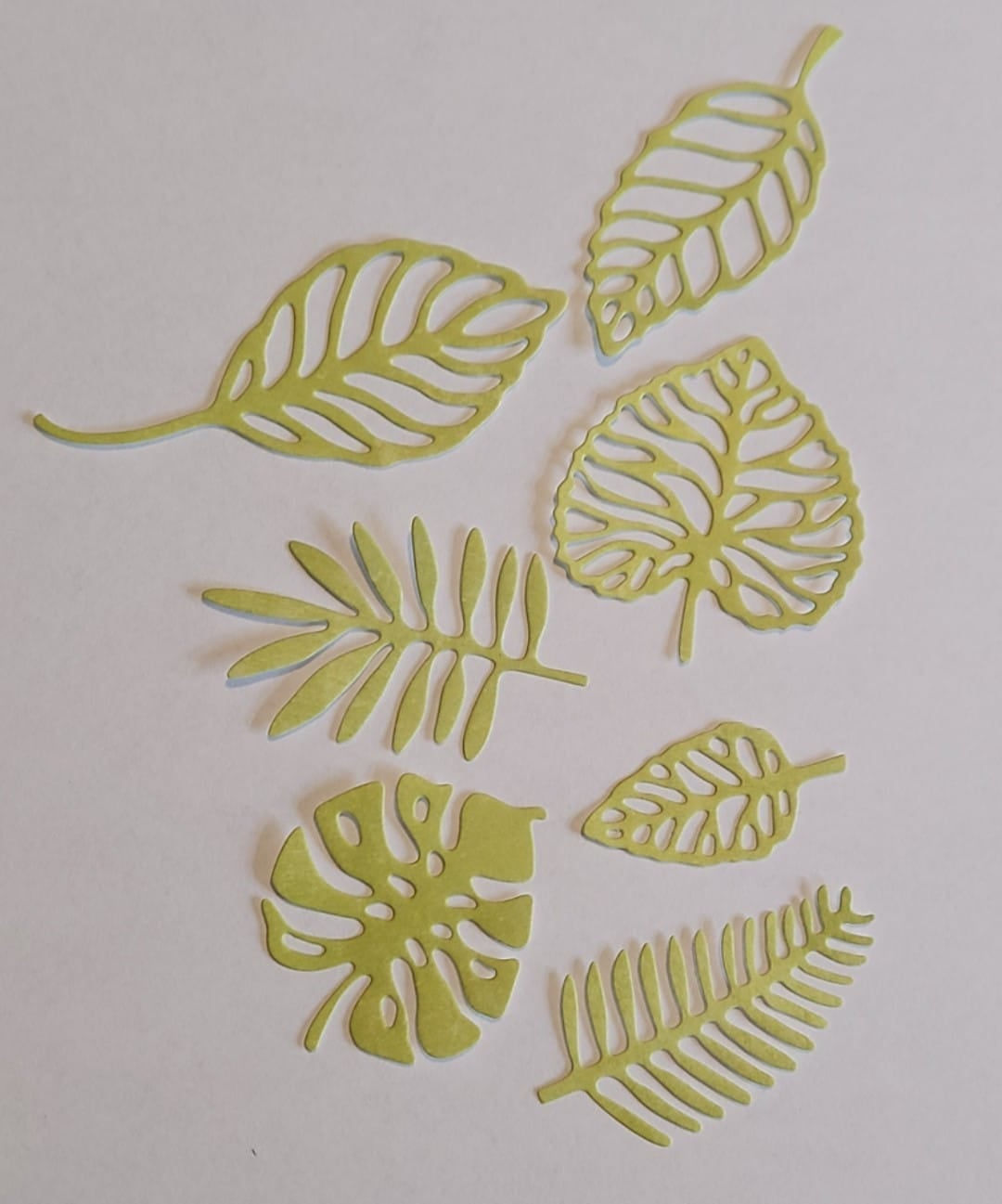 7 Piece Tropical Assorted Leaf Cutting Die Set