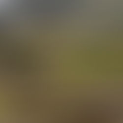 Complejo Arqueológico Ingapirca