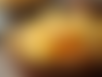 Savor Garlic Sun Chips: A Flavor Adventure You Can’t Miss