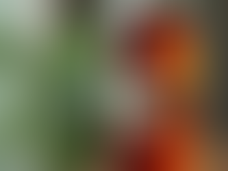 Classic Ramune Soda Flavor: A Refreshing Taste of Nostalgia