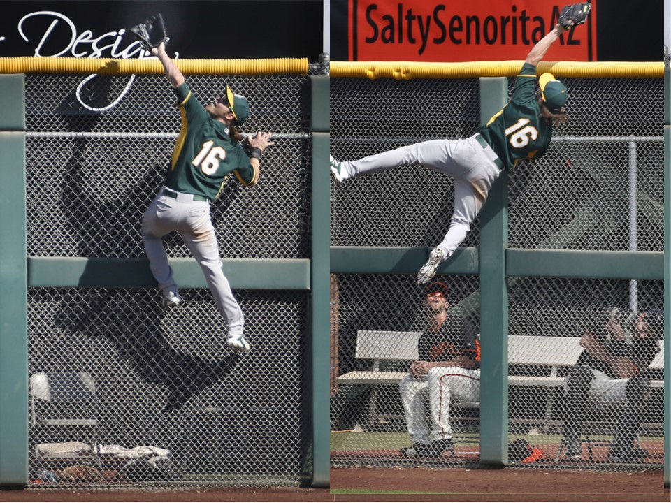 Centerfield of Dreams