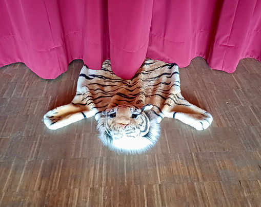 Wenn im Saal das Licht ausgeht...