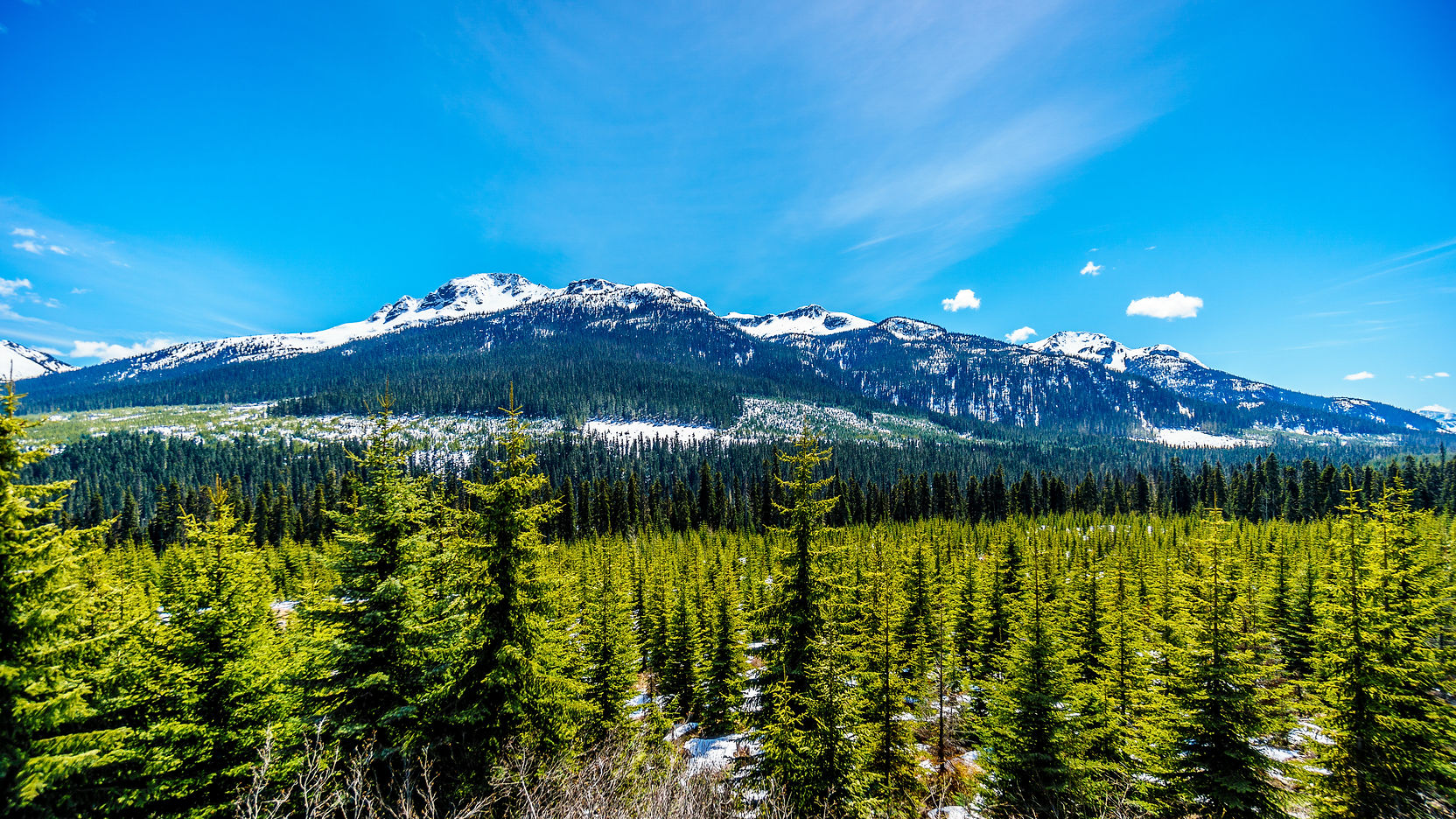 AdobeStock_159542019.jpeg