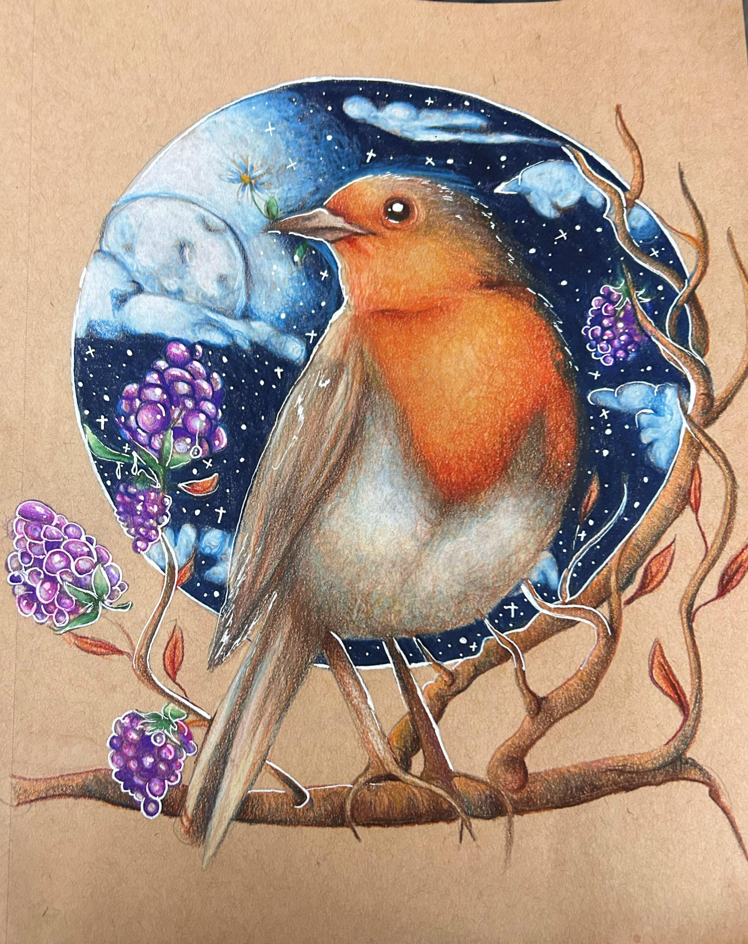 The Robin