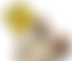 THE TOP APRIL FOOLS' DAY EPISODES OF ALL TIME