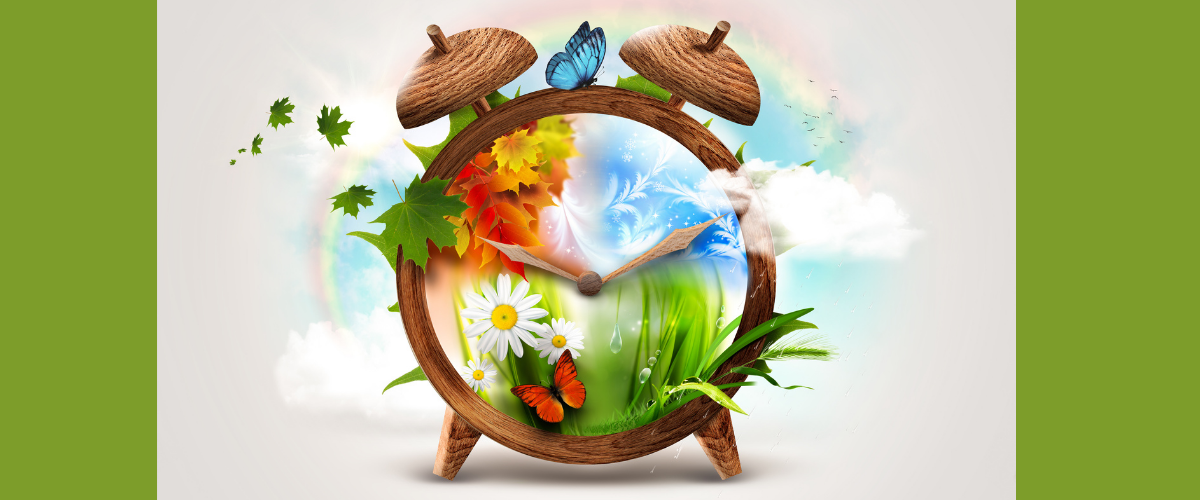 divine timing meaning