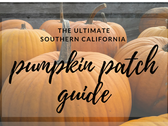 Best pumpkin patches in Southern California