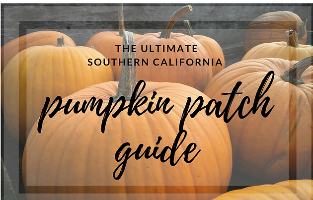 The Ultimate Southern California Pumpkin Patch Guide Invest Best Pumpkin Patches In Southern California
