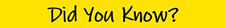 did you know front page.png