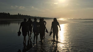 טיפים לצילום תמונות מוצלחות