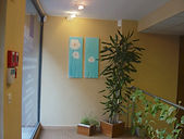 Laser vision institut. Strasbourg