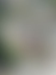 Morgan County Public Library Renovation and Expansion in Martinsville, IN