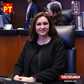 Proteger derechos de consumidores y trabajadores de Aeromar, pide Geovanna Bañuelos