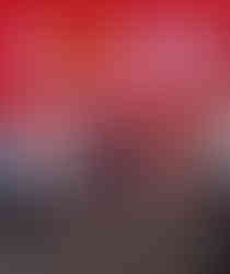 Participación Ciudadana