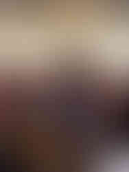 Participación Ciudadana