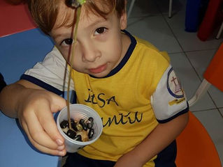 Nascimento da sementinha do feijão. Maternal