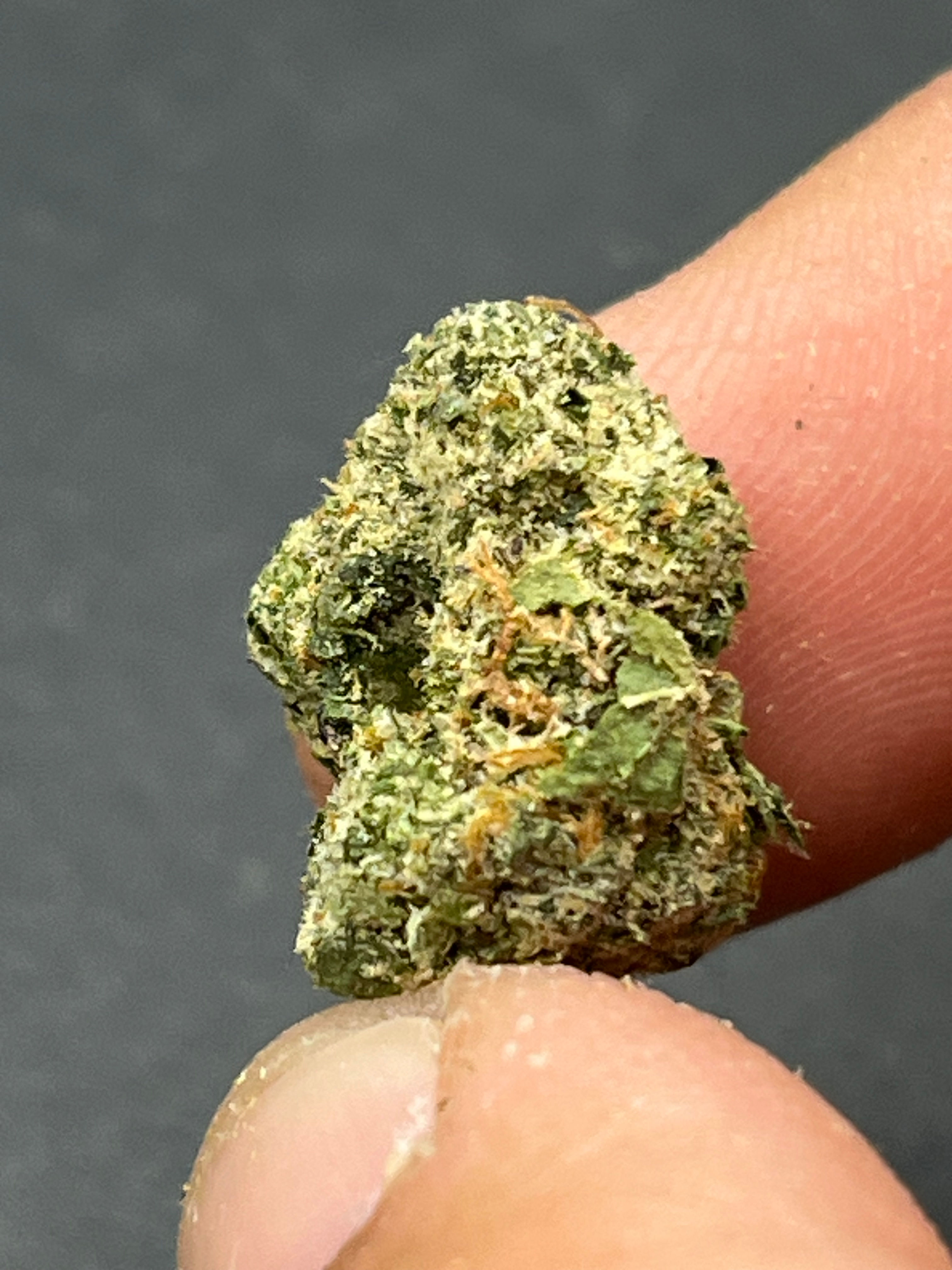 Organic tested fruit rollup (smalls)