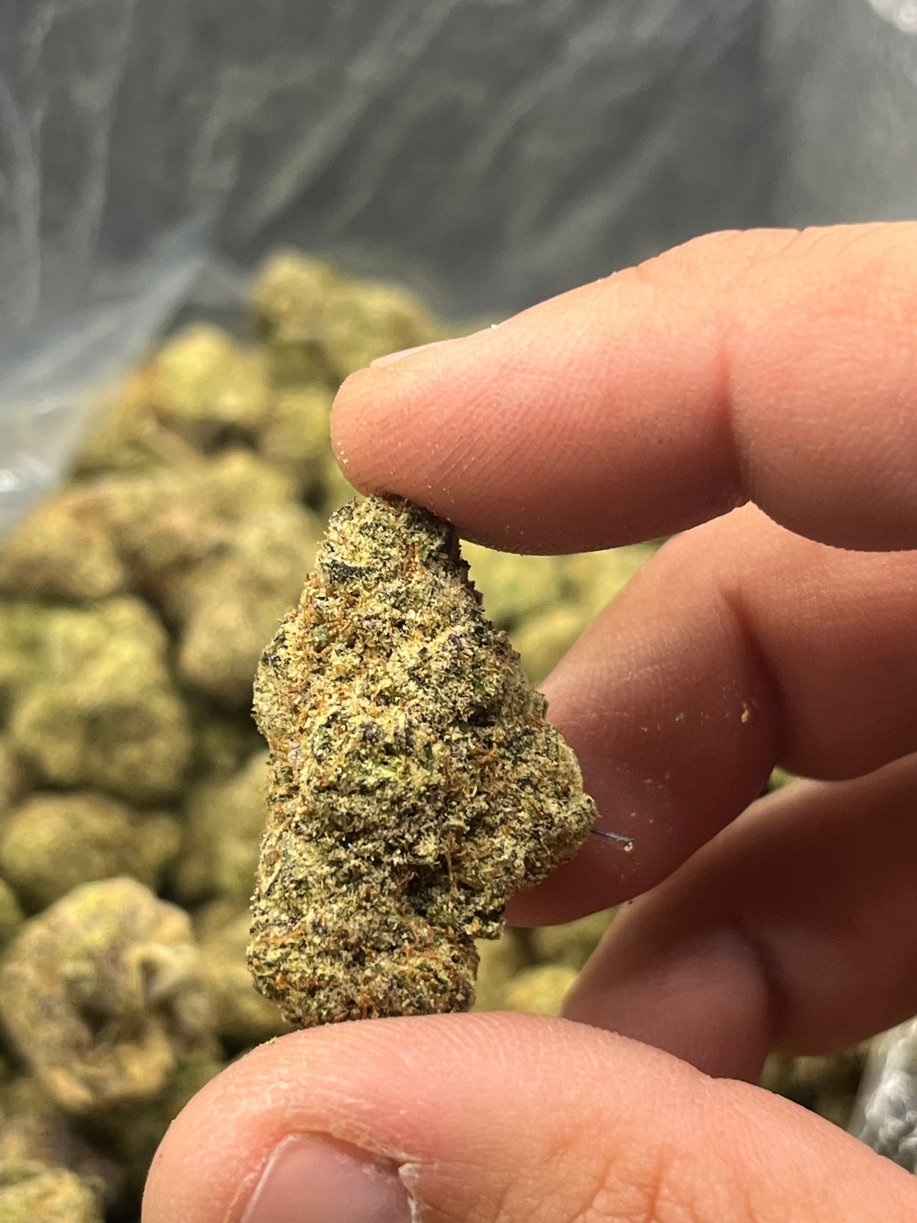 Tested organic blue candy dream