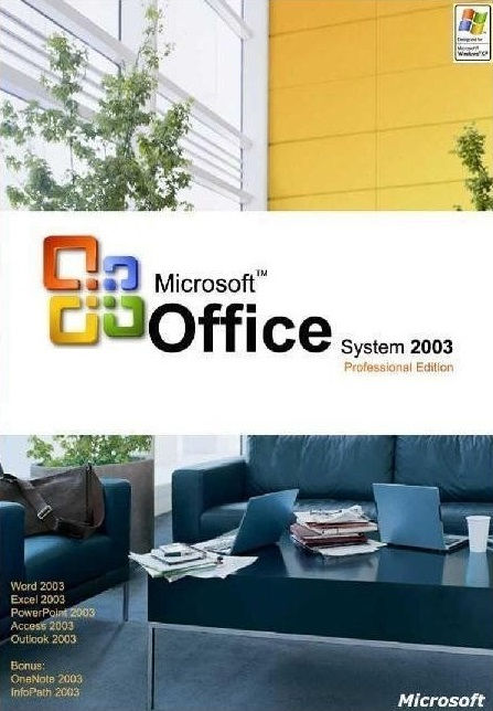 Office 2003 Professional