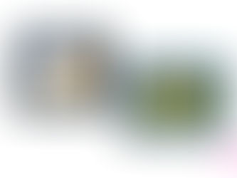 Magog or Baie-Saint-Paul? The race to host the "Silicon Valley" of Quebec crafts is on.