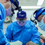 Pigs Could Change Kidney Transplant History!