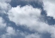 IMG_5677.JPG