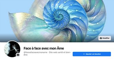 Capture d’écran 2021-07-29 à 16.16.16.png