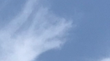 Capture d’écran 2022-12-18 à 17.50.13.png