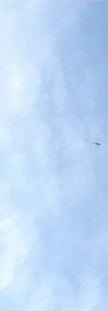 Capture d’écran 2022-12-29 à 08.58.44.png