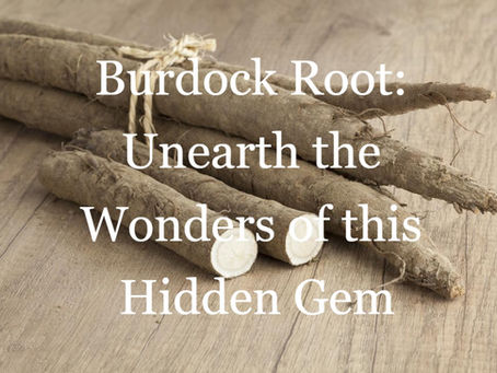 Burdock Root Powder/Extract