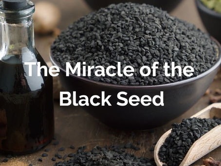 Black Cumin Seed Powder/Extract