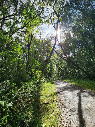 Maxine Brett Nature Walk