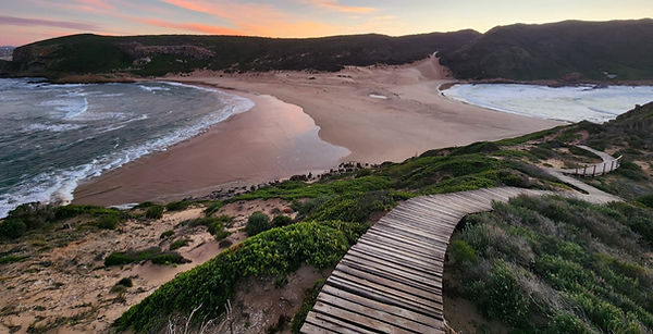 Maxine Brett Coastal Walk