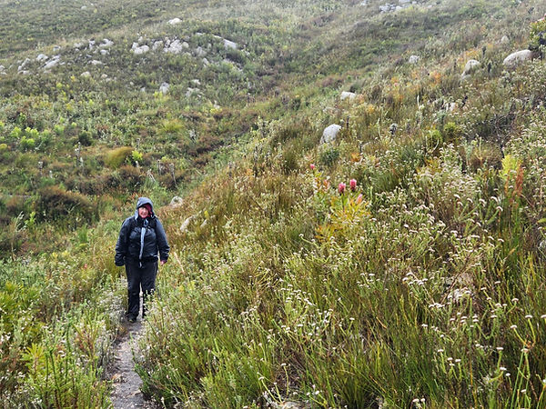 Maxine Brett Guided Walk