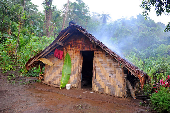 Hut in the Rainforest of Espiritu Santo,