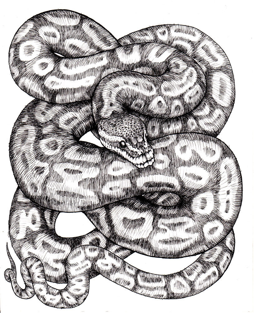 Python