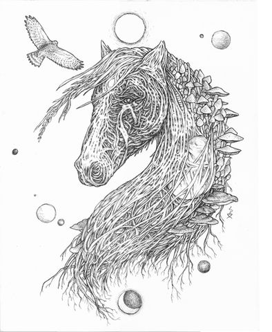 Drawing of horse