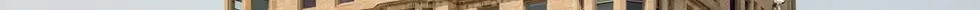 pexels-cottonbro-8767194