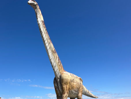 Trevelin and Dos Pocos