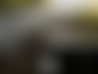 Scripture as our Authority