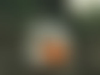 Why Other's Opinions Don't Bother Me